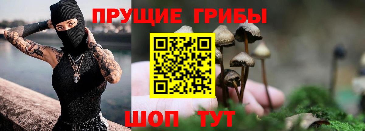 Галлюциногенные грибы Psilocybine cubensis Ивантеевка