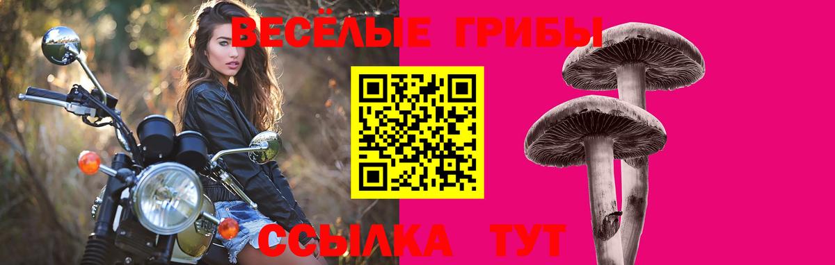 Ивантеевка  Галлюциногенные грибы мицелий  Вход с VPN  Галлюциногенные грибы Magic Shrooms 